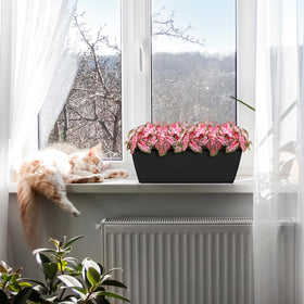 Smusei easy-care planter design simplifies balcony gardening and maintenance.