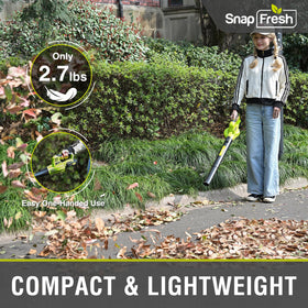 SnapFresh 20V 2Ah battery for reliable cordless runtime.
