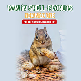 Backyard habitat enrichment with Sneaky Mango raw peanuts.