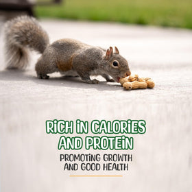 Bulk wildlife feed from Sneaky Mango supporting local animal activity.
