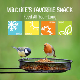 Sneaky Mango raw peanuts bag: durable packaging keeps freshness for outdoor use.