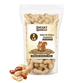 Sneaky Mango raw peanuts in shell in a 2lb box for wildlife feeding.