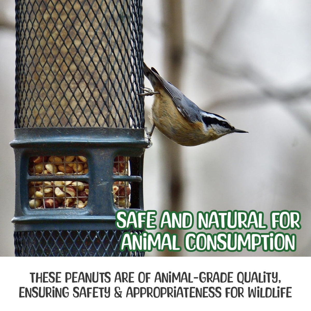 Sneaky Mango unshelled raw peanuts offer a simple wildlife attractant option.