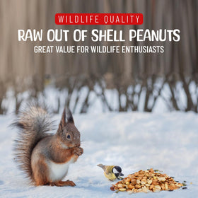 Sneaky Mango usa-grown peanuts: fresh, high-quality snack for diverse backyard visitors.