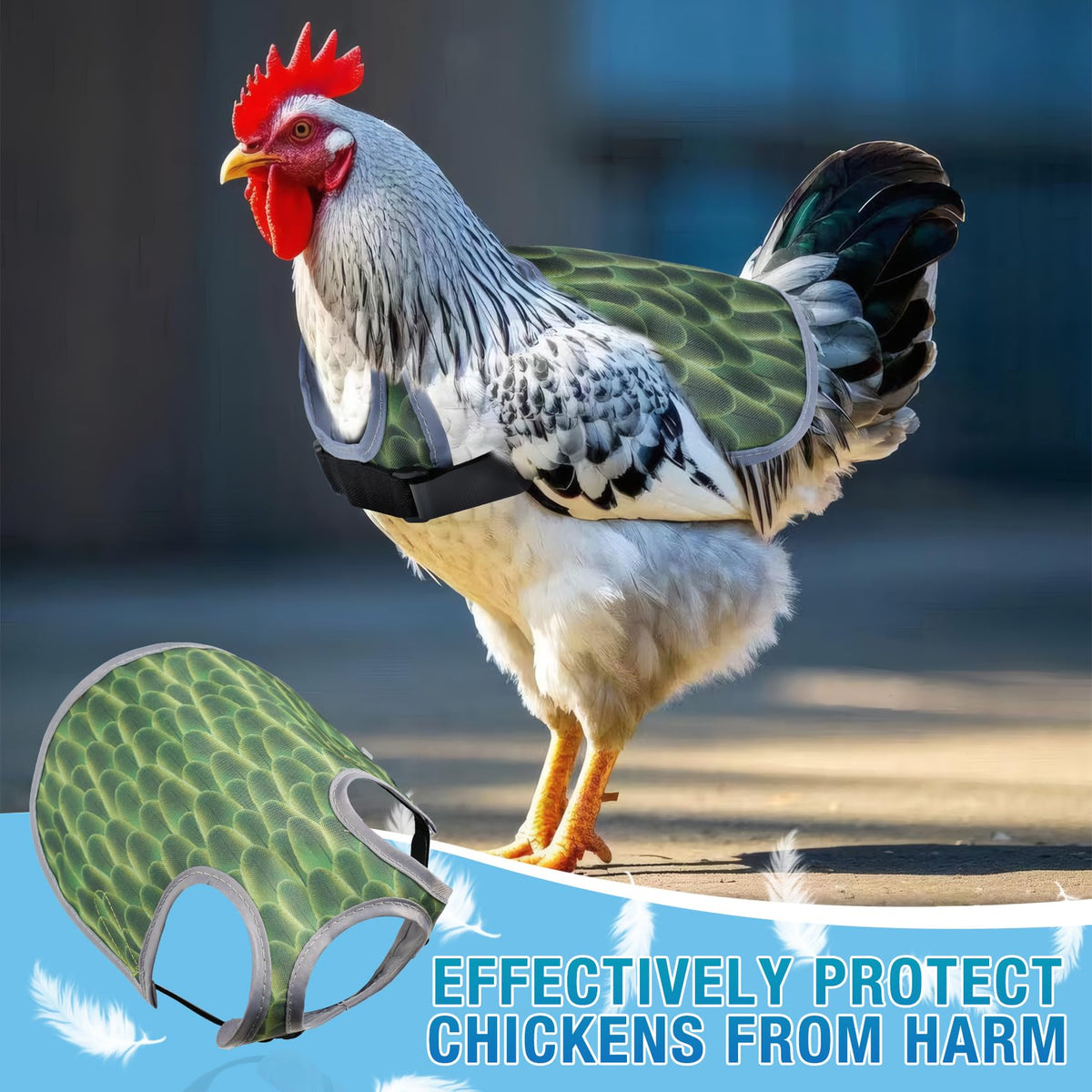 SNMGK saddle on hen blue demonstrates protective wear in action