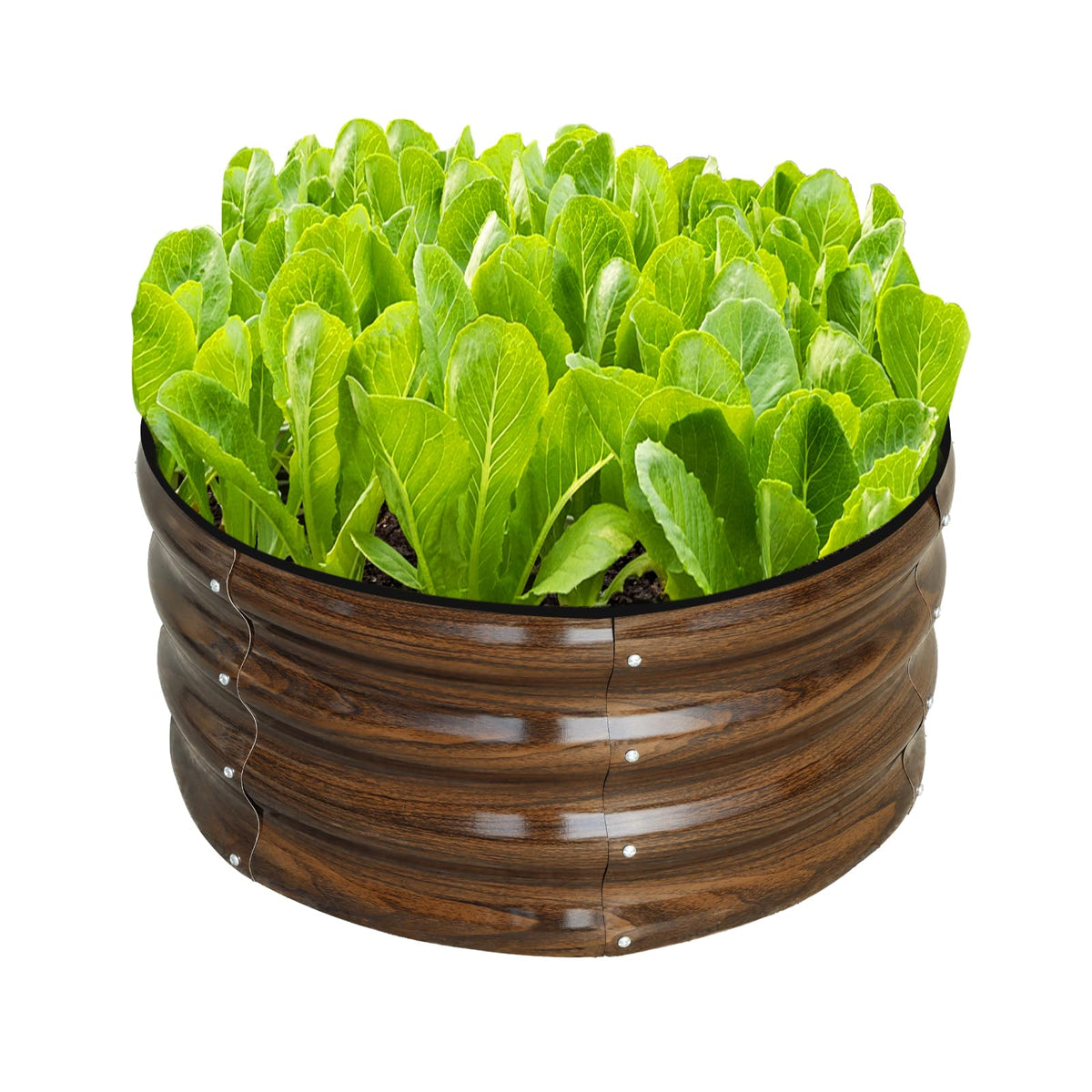SnugNiture round galvanized bed top view showcases roomy planting area for veggies.