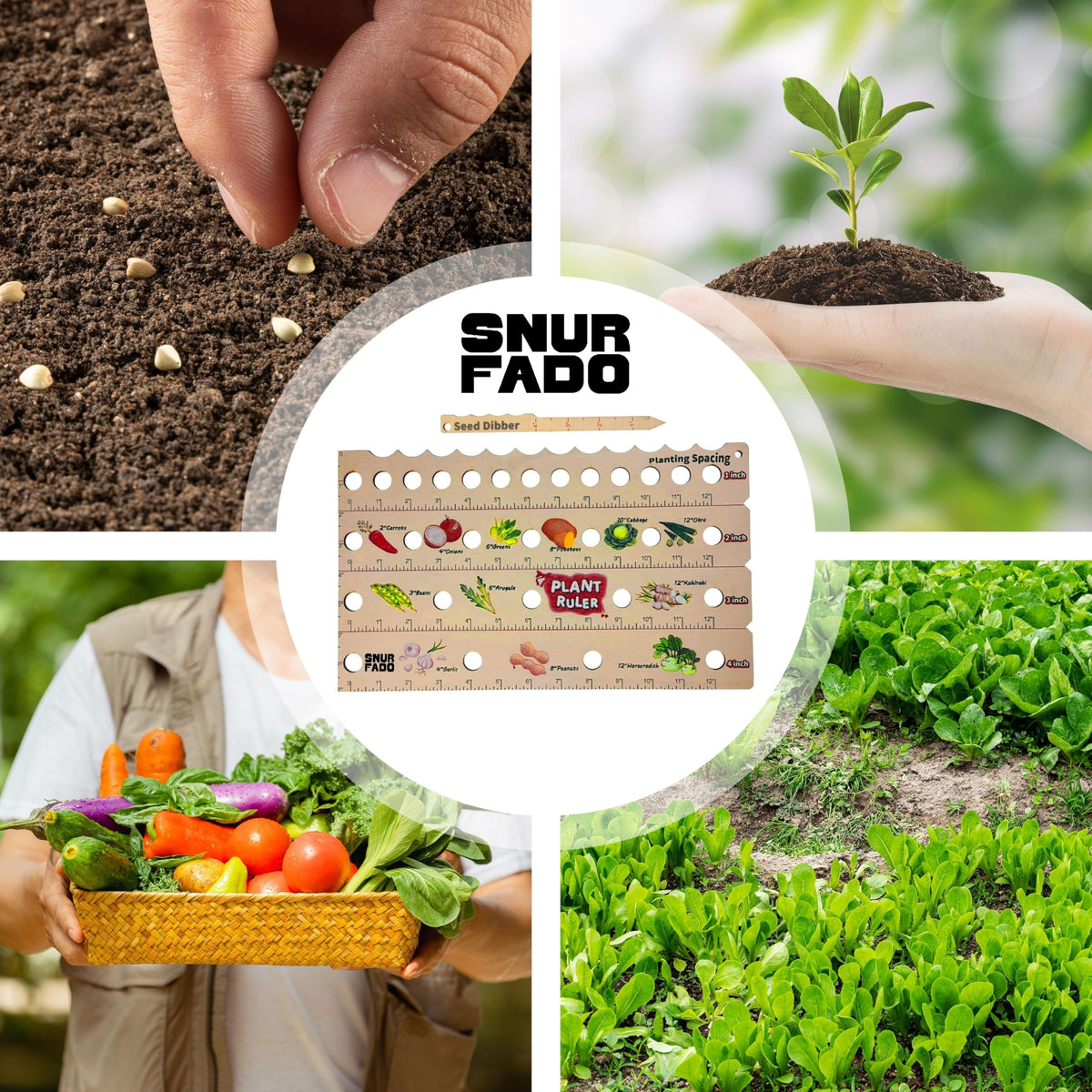 Compact garden setup using Snurfado Plant Ruler for organized spacing