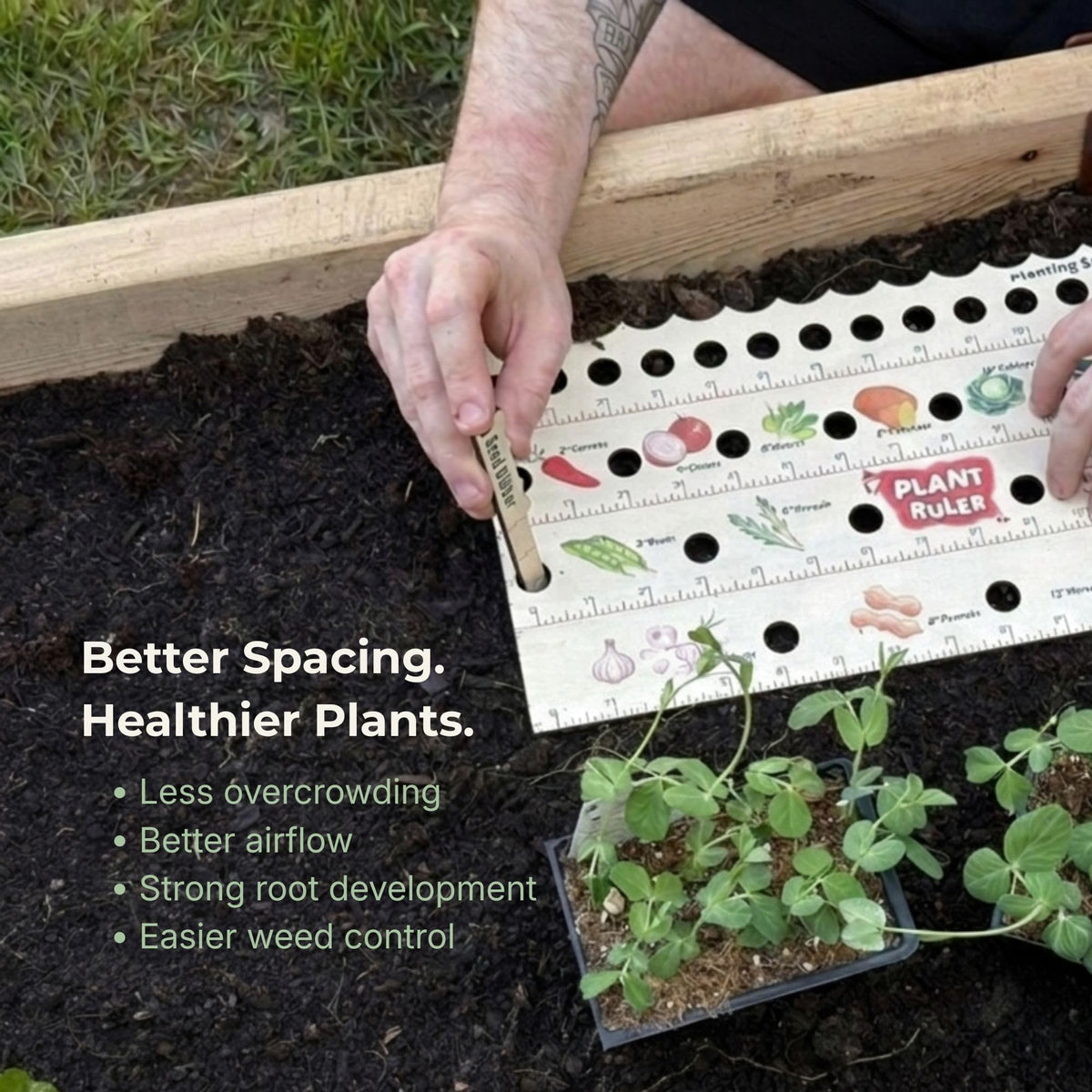 Raised bed application showing precise row planting with the Plant Ruler