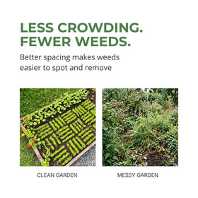 Weed control view with evenly spaced plants powered by the tool.