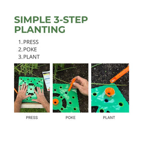 Close-up of seeds aligned by the Seed Spacer Tool to optimize germination.