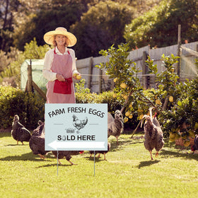 Soaoo eggs sale sign outdoor view demonstrates weatherproof signage for any yard.