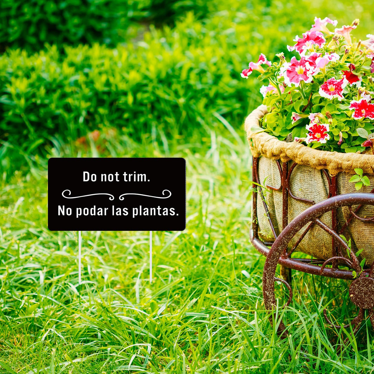 Soaoo gift-pack for garden lovers who value practical labeling.
