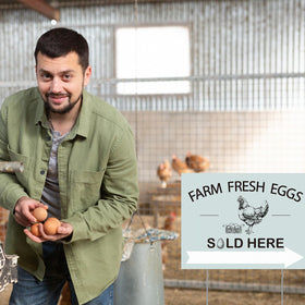 Soaoo weatherproof eggs sign highlights durability against rain and sun.