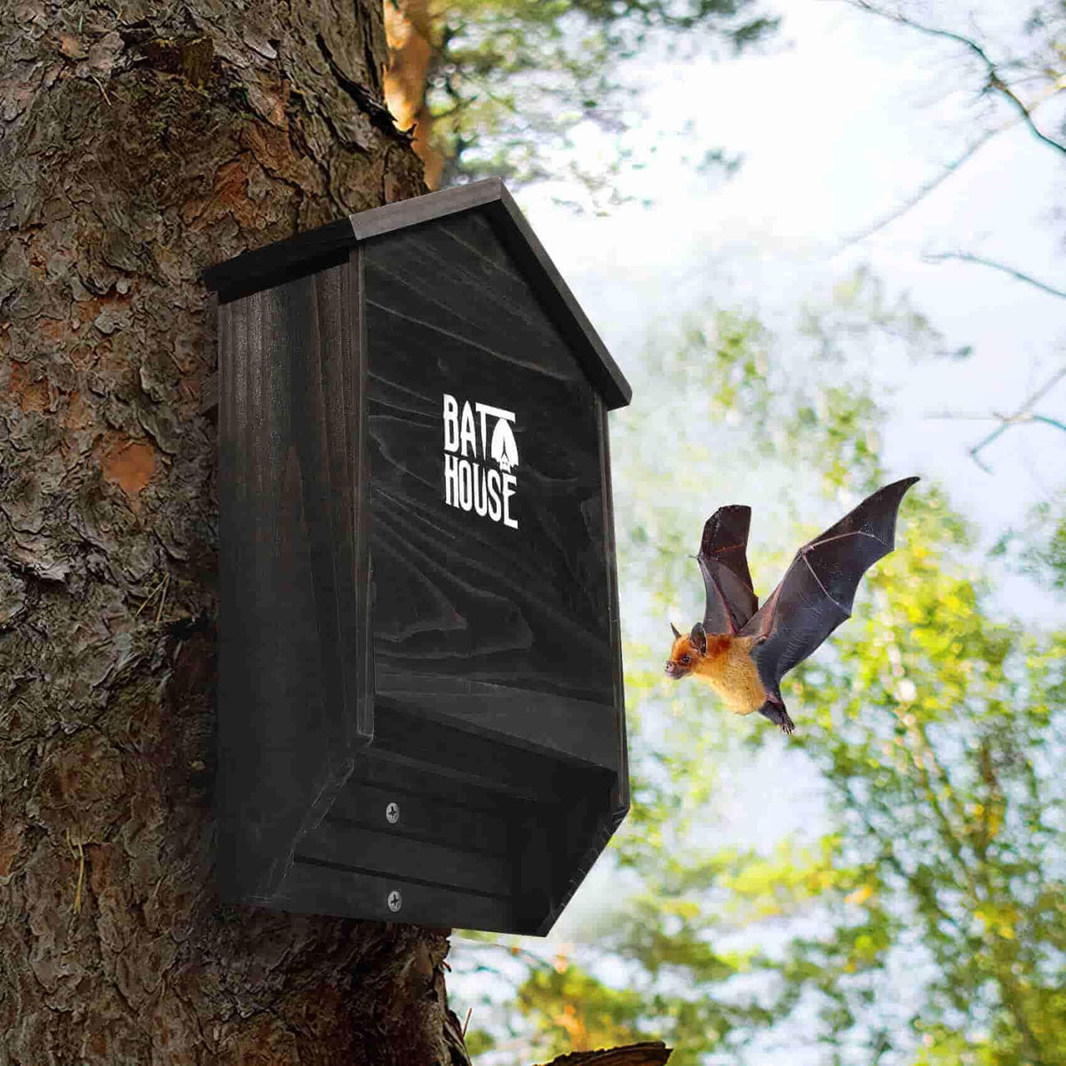 Sobalai bat house supports natural pest control and pollination.