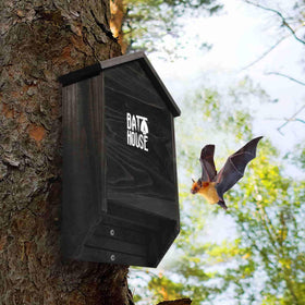 Sobalai bat house supports natural pest control and pollination.