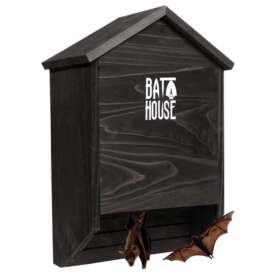 Sobalai bat house exterior view highlighting a durable 15x11x4 inch design for outdoors.