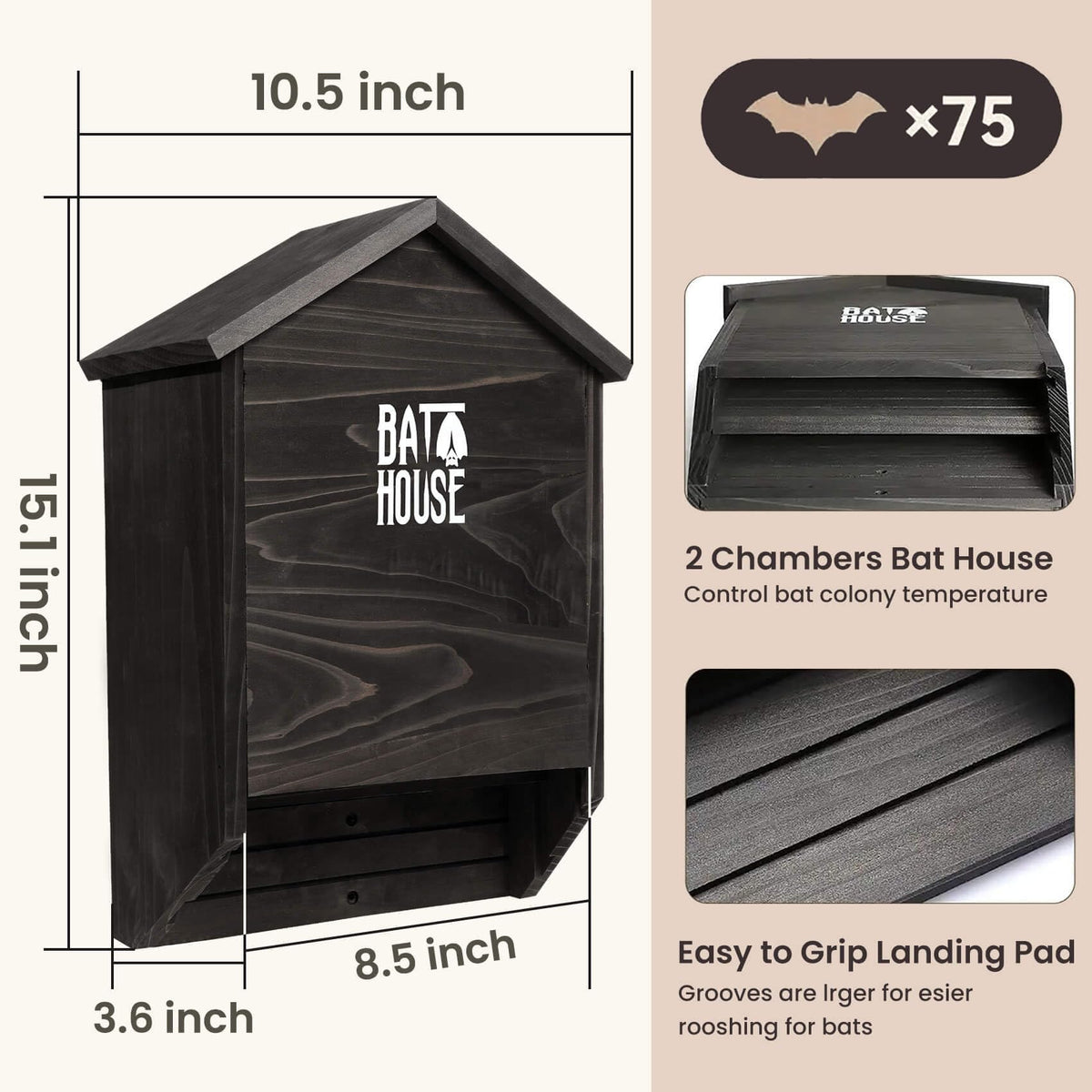 Sobalai bat house interior alcove supports easy roosting for visiting bats.