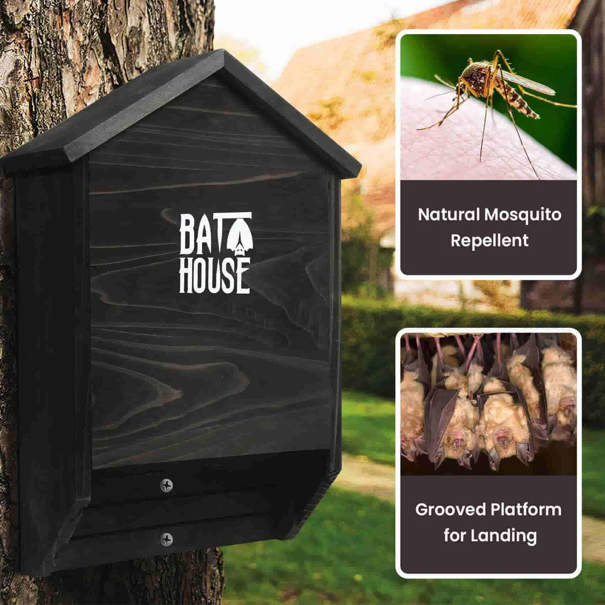 Sobalai bat house mounted on a tall tree demonstrates secure outdoor placement.