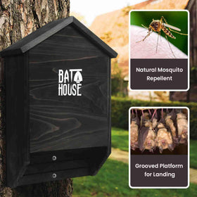 Sobalai bat house mounted on a tall tree demonstrates secure outdoor placement.