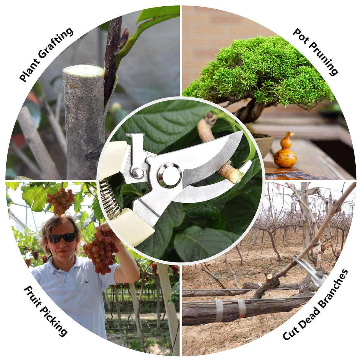 SoftSense versatile pruning tool suitable for flowers, bonsai, and fruit picking