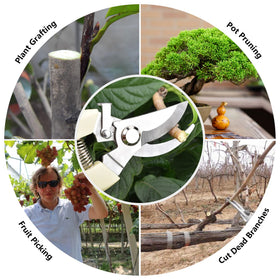 SoftSense versatile pruning tool suitable for flowers, bonsai, and fruit picking
