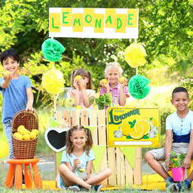 Sofzy yard sign set enhances summer gatherings with easy outdoor display.