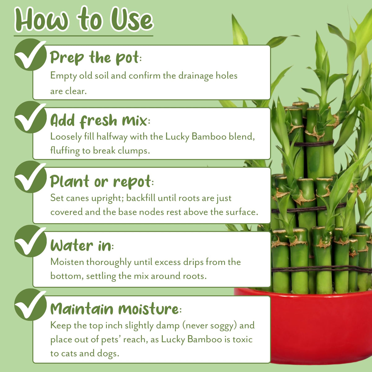 4-quart bag of Soil Sunrise Lucky Bamboo mix on a shelf
