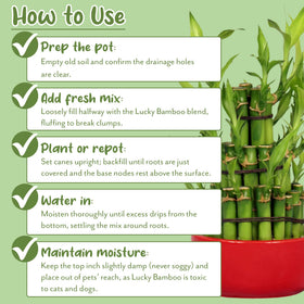 4-quart bag of Soil Sunrise Lucky Bamboo mix on a shelf