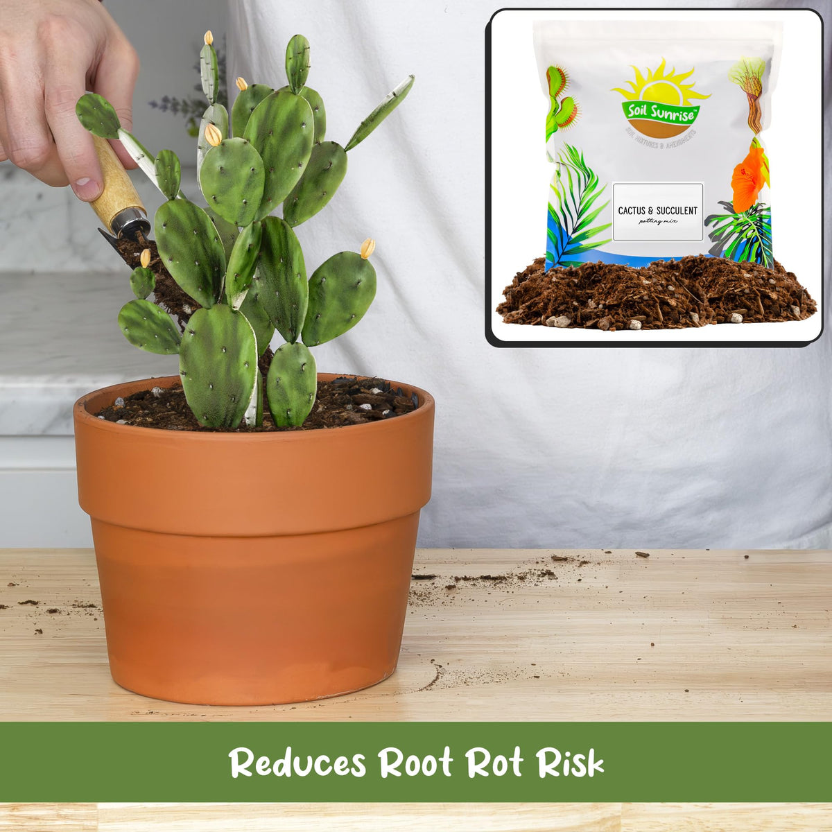 Soil Sunrise 8qt bag sits on shelf ready for planting