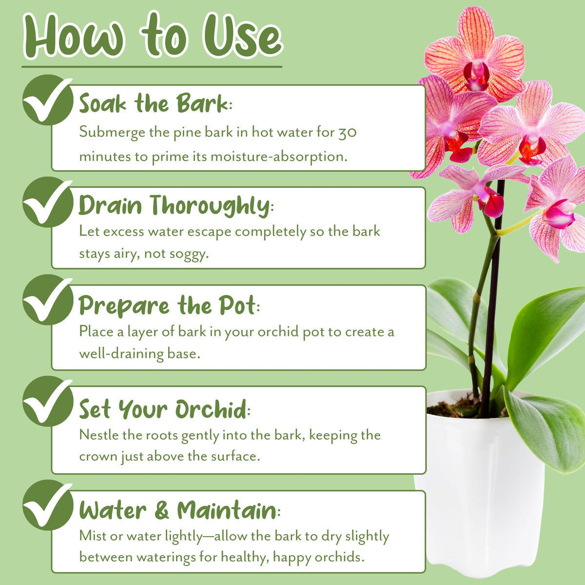 Soil Sunrise 30-quart bag for orchids and epiphyte setups with good drainage.