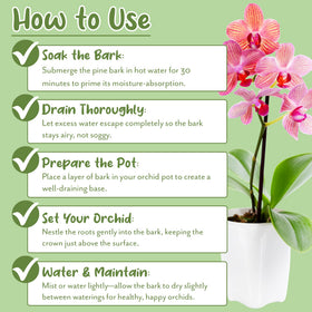 Soil Sunrise 30-quart bag for orchids and epiphyte setups with good drainage.
