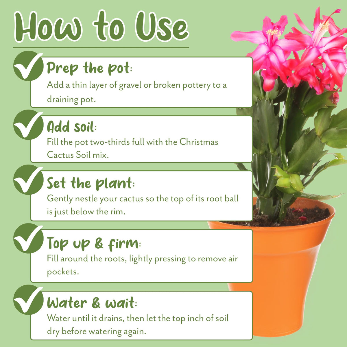 Soil Sunrise aeration and drainage benefits in cactus soil