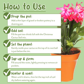 Soil Sunrise aeration and drainage benefits in cactus soil