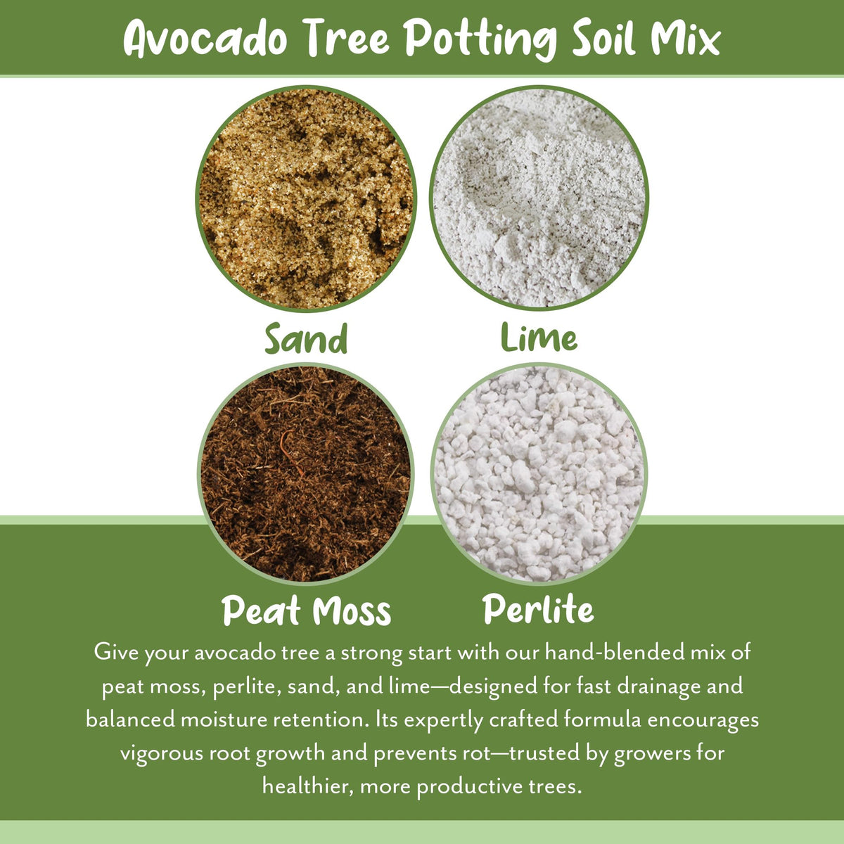 Soil Sunrise mix highlighting aeration and drainage for avocado roots.