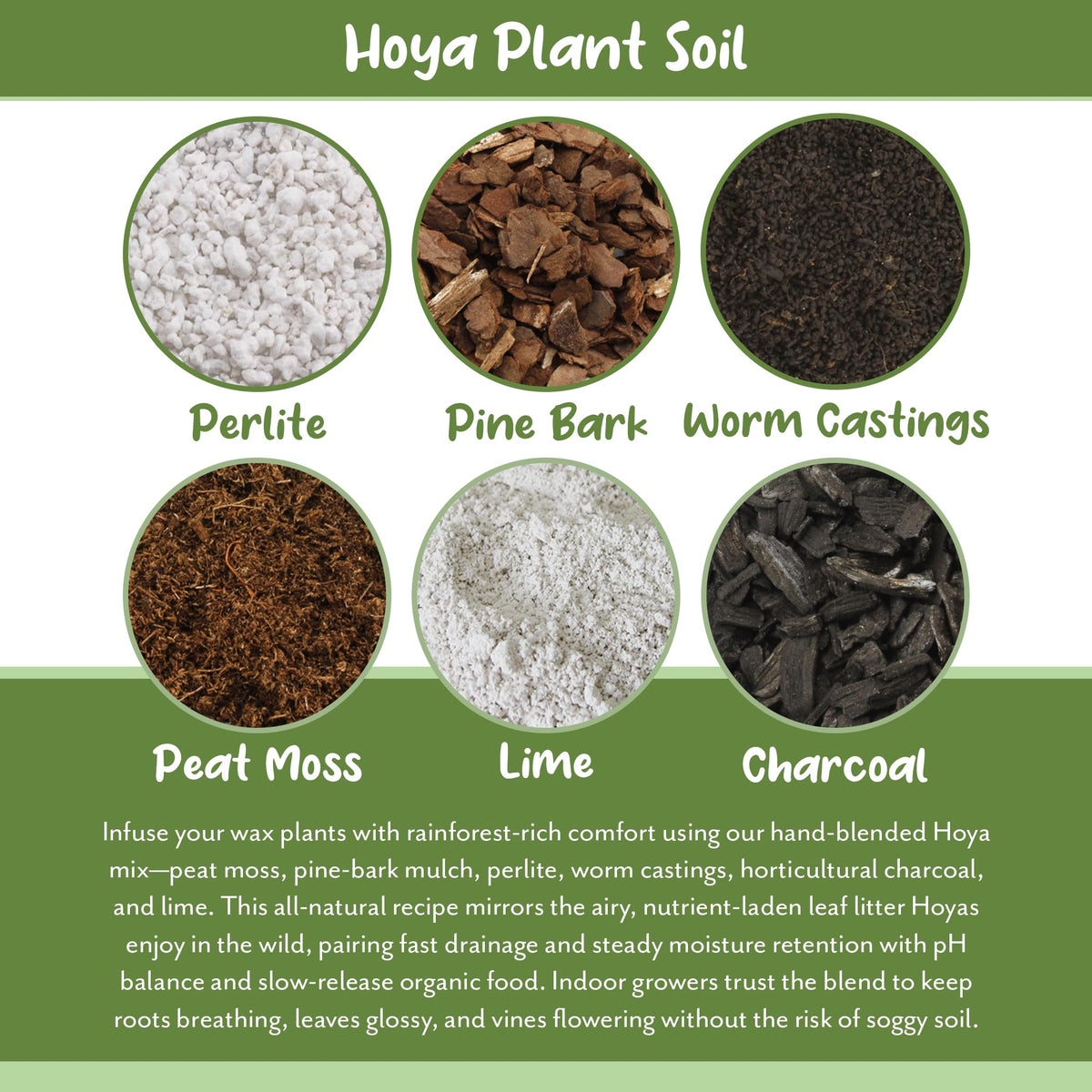 Soil Sunrise aeration-rich soil promotes proper airflow to roots