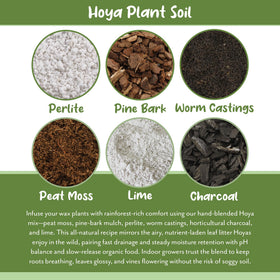 Soil Sunrise aeration-rich soil promotes proper airflow to roots