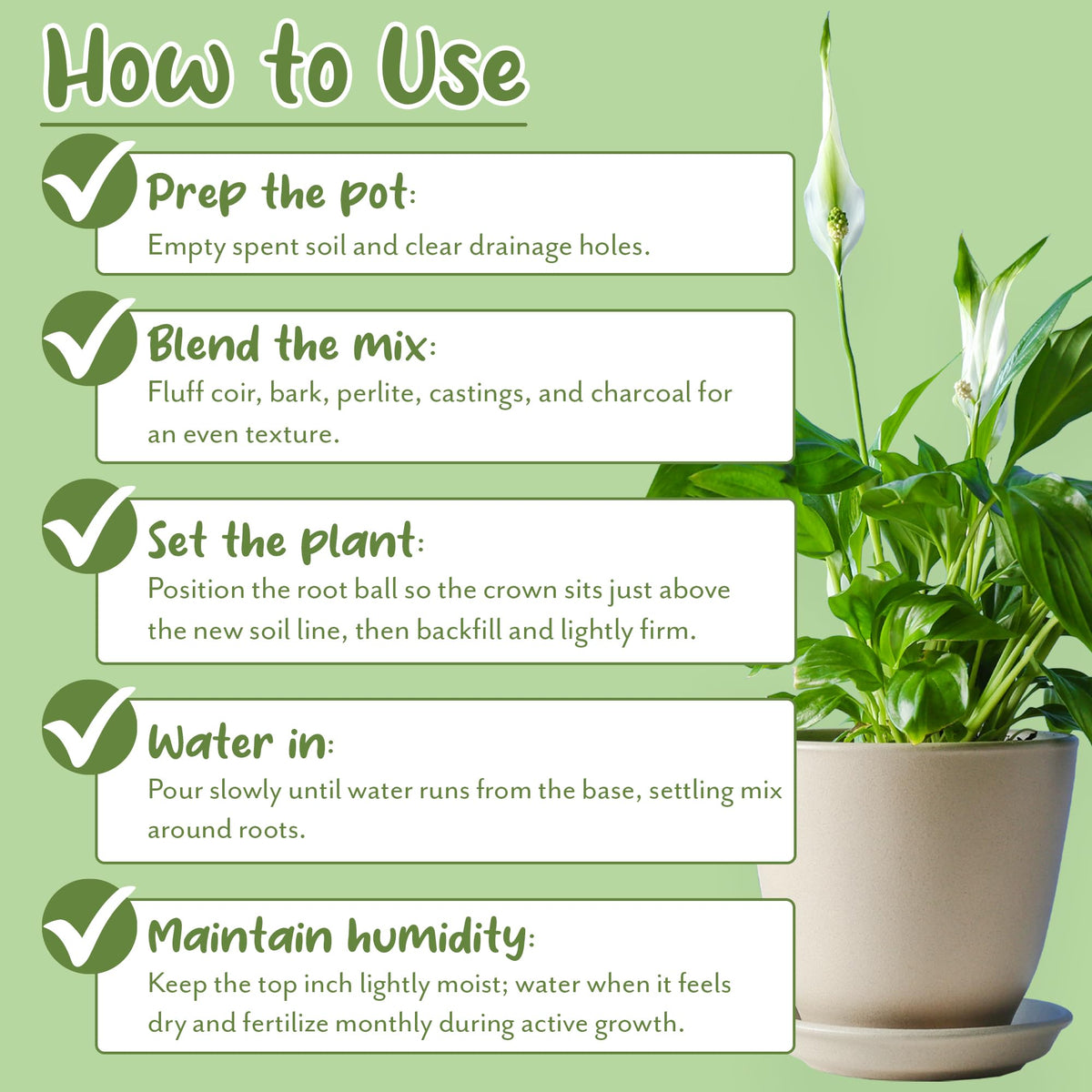 Soil Sunrise Aroid potting soil bag close-up label for 8qt