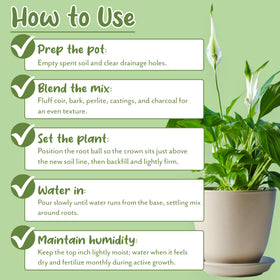Soil Sunrise Aroid potting soil bag close-up label for 8qt