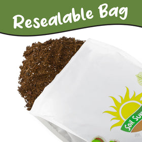 Soil Sunrise Aroid mix used in a large pot with thriving plant