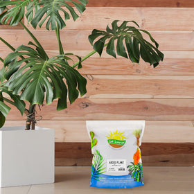 Soil Sunrise Aroid potting soil mix poured into planter for pothos