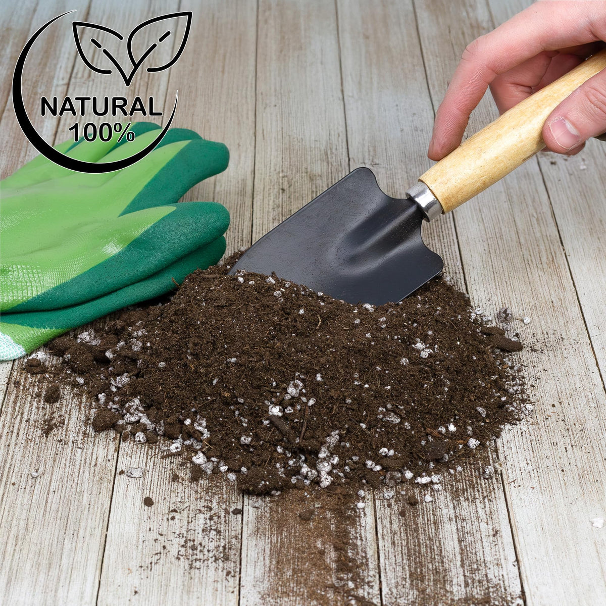 Soil Sunrise indoors and outdoors avocado care with soil mix.