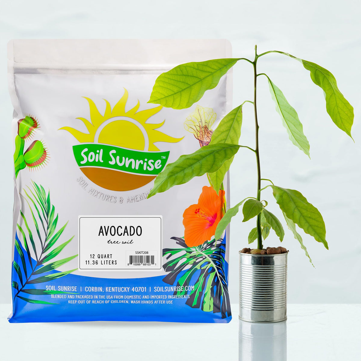 Soil Sunrise avocado seedling in a pot using the soil mix for growth.