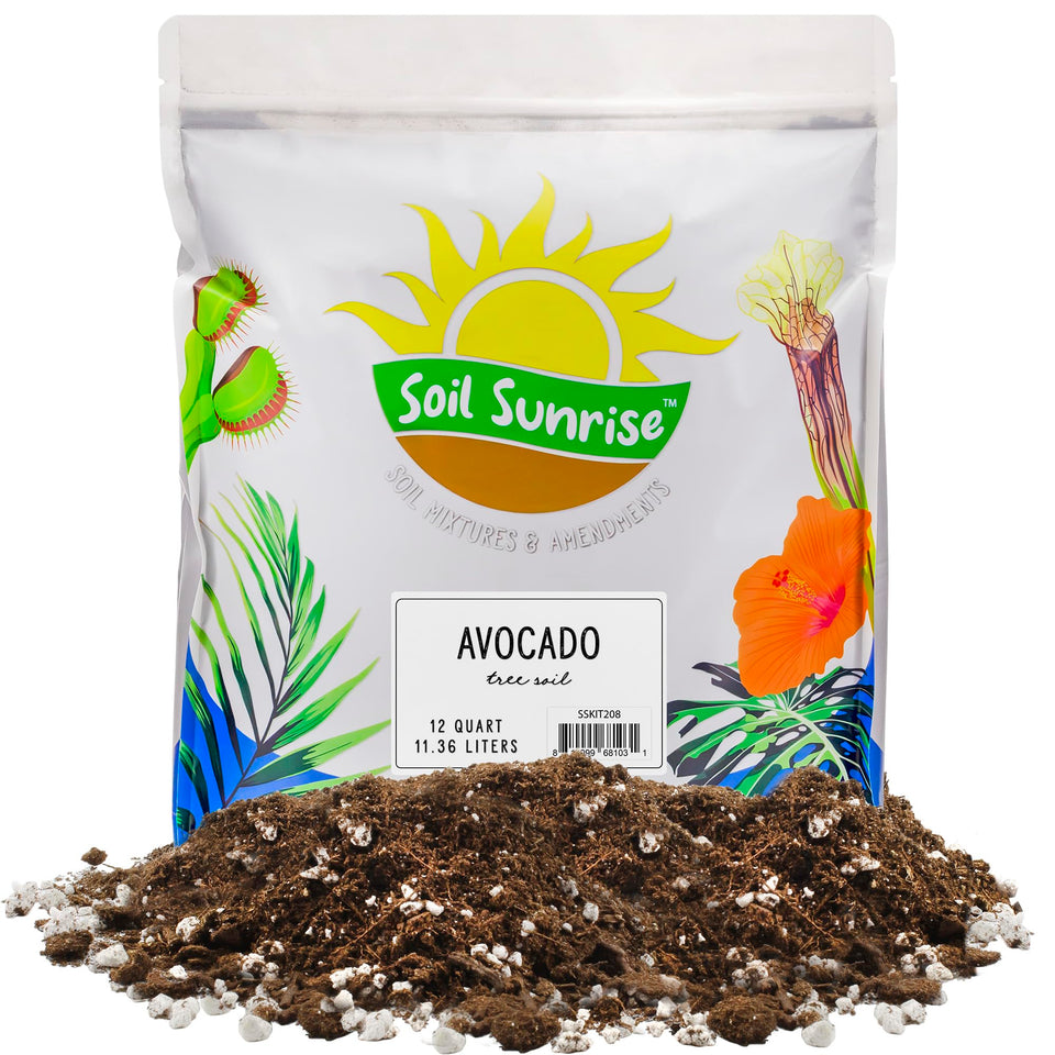 Soil Sunrise avocado soil mix 12-quart bag for container germination.