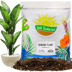 Soil Sunrise banana tree potting soil mix in bag, promoting drainage and root health