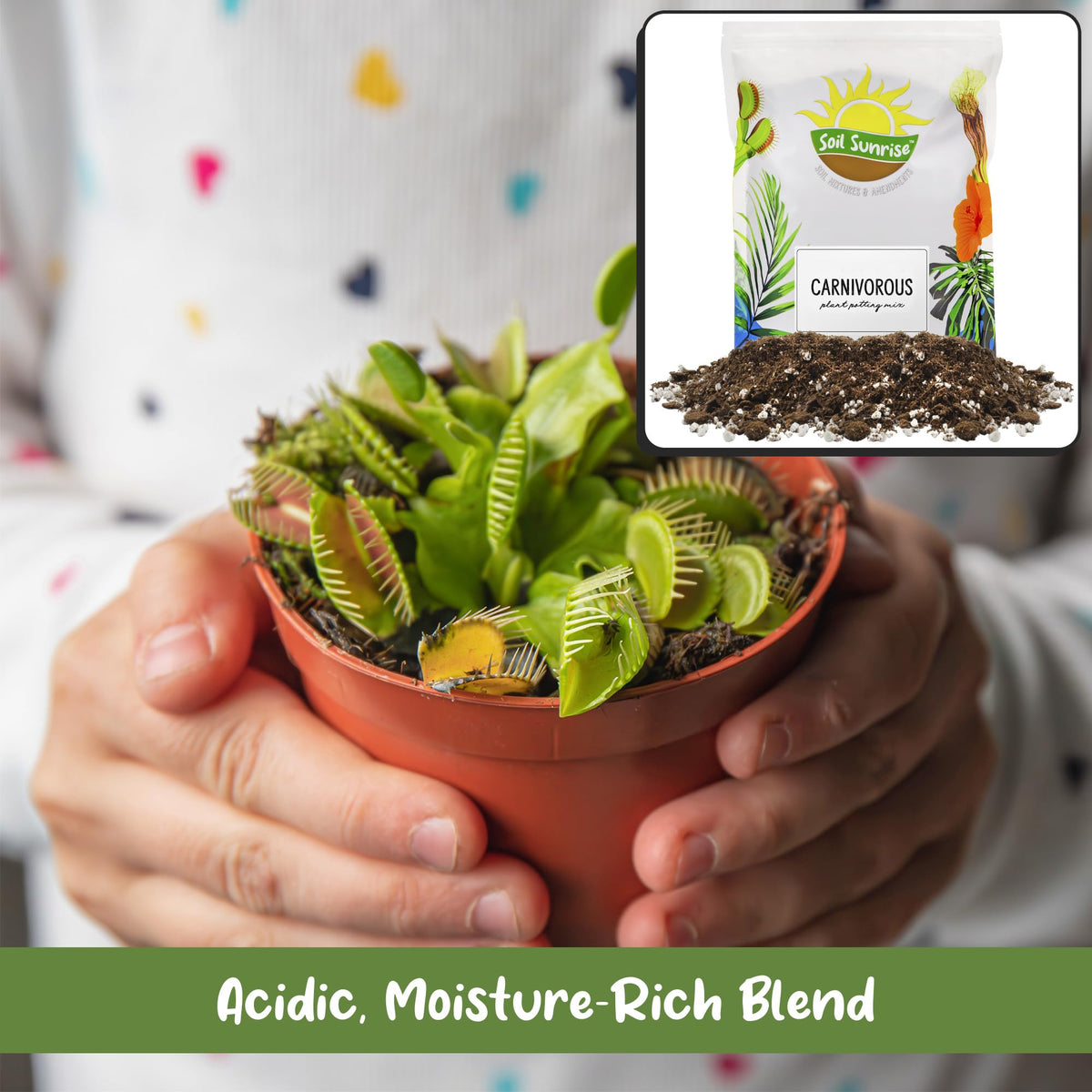 Soil Sunrise Carnivorous Potting Soil works in indoor plant containers.