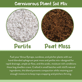 Soil Sunrise Carnivorous Potting Soil performs well in outdoor containers.