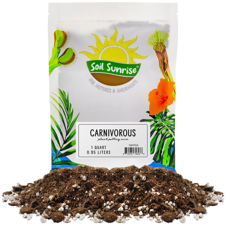 Soil Sunrise Carnivorous Potting Soil for Venus Fly Traps promotes healthy drainage.
