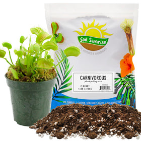 Soil Sunrise carnivorous soil mix in an open bag for easy repotting and aeration.