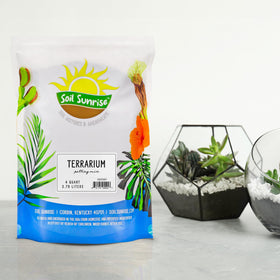 Soil Sunrise charcoal for filtering terrariums enhances filtration and soil clarity.