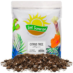 Soil Sunrise citrus-tree-potting-soil-12-quarts supports balanced nutrients for healthy indoor citrus.